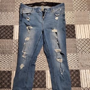 Torrid Bombshell Skinny Jeans
